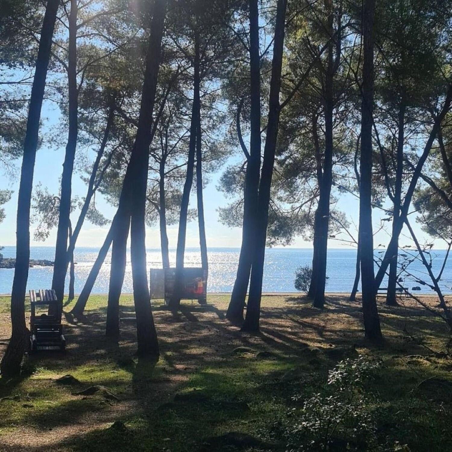 Apartment Berto - 500m To The Rovinj